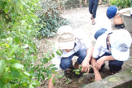 Quê nghèo An Xá khóc thương Đại tướng của dân tộc