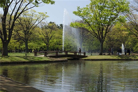 Yoyogi-Park3.jpg