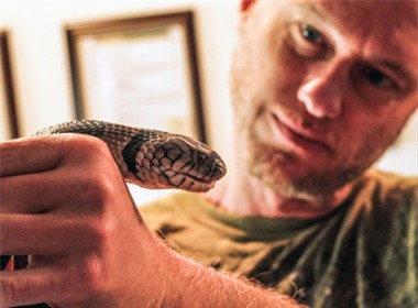 Tim Friede giữ một con rắn độc mamba đen trên tay