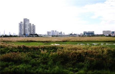 đất vàng, thế chấp, Quốc Cường Gia Lai, Cường đô la