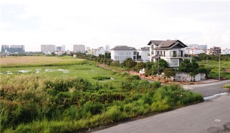 đất vàng, thế chấp, Quốc Cường Gia Lai, Cường đô la