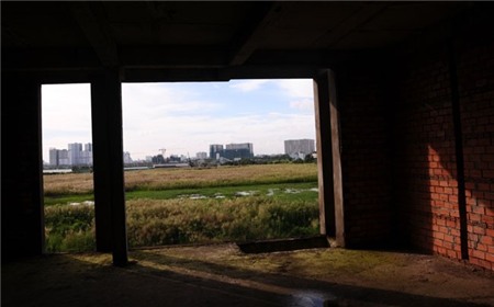 đất vàng, thế chấp, Quốc Cường Gia Lai, Cường đô la