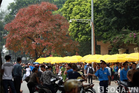 Vào hồi 11h50p ngày 10/10, tán lá của cây Bằng Lăng đã hoàn toàn chuyển sang màu đỏ.