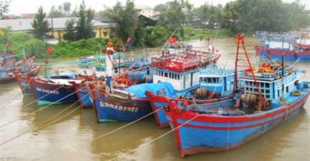 Hầu hết tàu thuyền Quảng Bình đã vào neo đậu tránh bão số 11