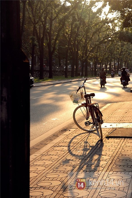 Những niềm vui bé nhỏ mà mê đắm ngày Hà Nội cuối thu 10