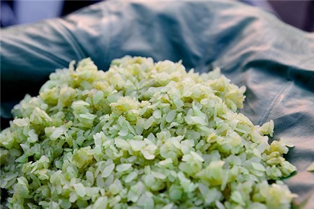 Những niềm vui bé nhỏ mà mê đắm ngày Hà Nội cuối thu 2