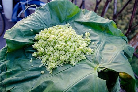 Những niềm vui bé nhỏ mà mê đắm ngày Hà Nội cuối thu 3