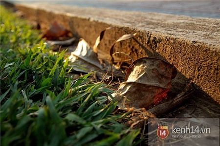 Những niềm vui bé nhỏ mà mê đắm ngày Hà Nội cuối thu 6