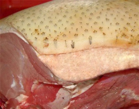 lợn mán, độc chiêu, thực phẩm bẩn, thịt giả, công nghệ