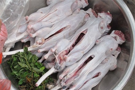 Khi chuột cống đã thành “đặc sản” 1