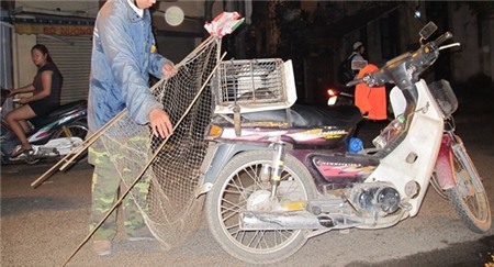 Khi chuột cống đã thành “đặc sản” 5