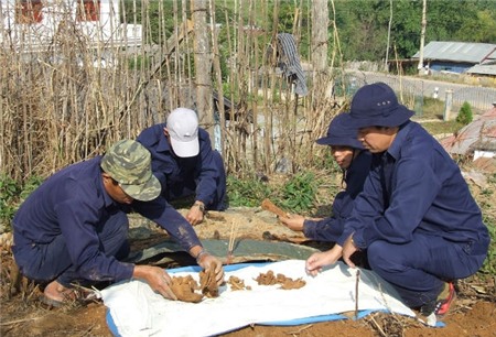 tìm hài cốt liệt sỹ, không cần ngoại cảm, Quân khu 4, nước bạn Lào