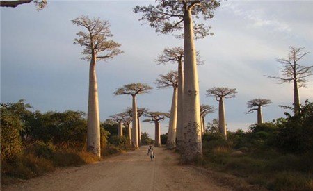 9 địa điểm thích hợp cho người yêu sự yên tĩnh 7