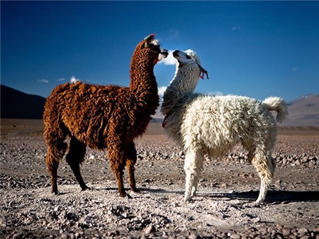 6 điểm đến rẻ nhất hiện nay 6