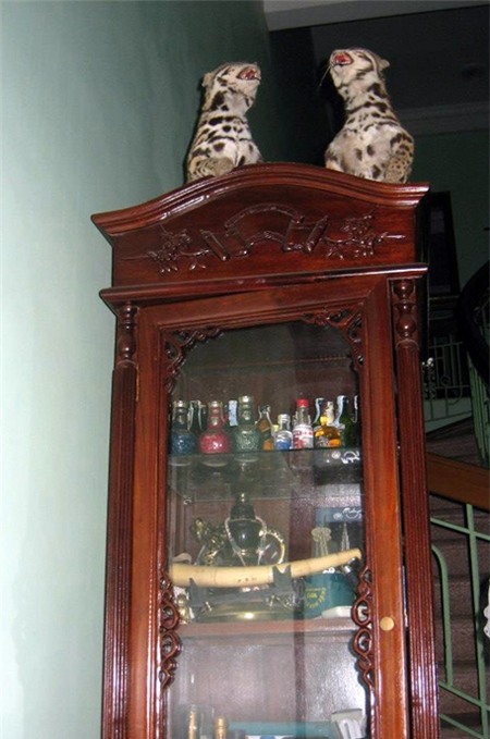 Quang Thắng, Vân Dung, thú vui, chơi chim, uống rượu