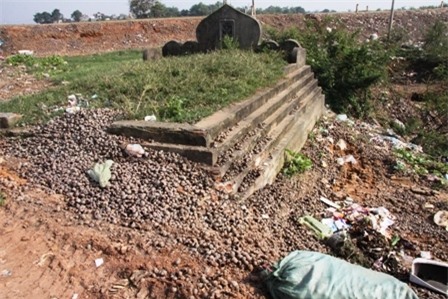 Trung Quốc, ô nhiễm, Quốc Oai, thiên địch...