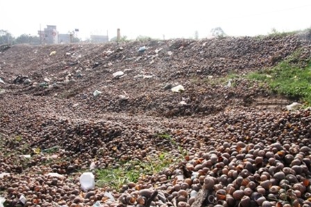 Trung Quốc, ô nhiễm, Quốc Oai, thiên địch...