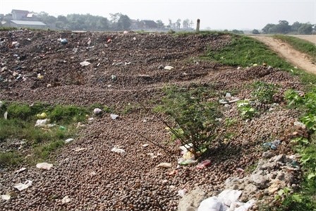 Trung Quốc, ô nhiễm, Quốc Oai, thiên địch...