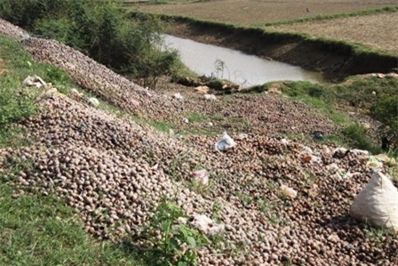 Trung Quốc, ô nhiễm, Quốc Oai, thiên địch...