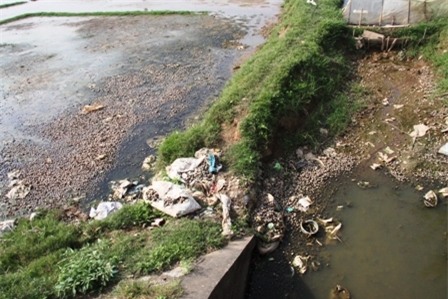 Trung Quốc, ô nhiễm, Quốc Oai, thiên địch...