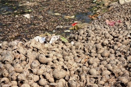 Trung Quốc, ô nhiễm, Quốc Oai, thiên địch...