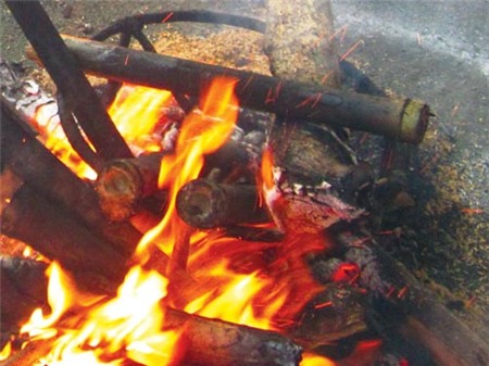 Bắp chuối rừng lam cá suối - 1