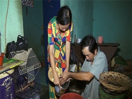 nghề-độc, bế-lợn-thuê, mưu-sinh, bạc-triệu, kiếm-tiền, những-nghề, nuôi-muỗi