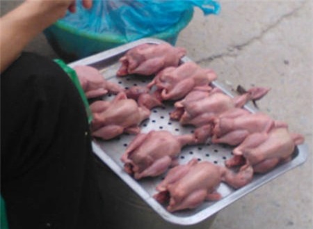 gà-thải-loại, chim cút, chim-cut, gà, gia cầm, gia-cầm, thực phẩm, thực phẩm rẻ, vệ sinh an toàn thực phẩm, người tiêu dùng
