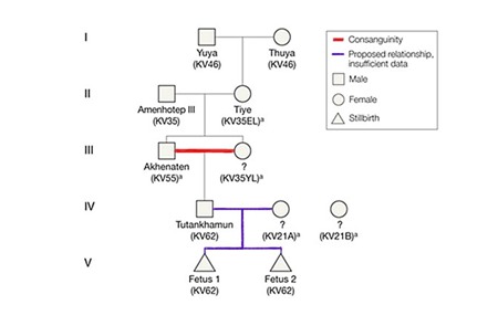 Kì lạ xác ướp vua Ai Cập có 