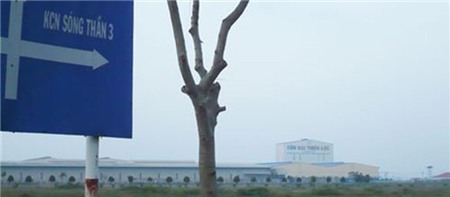 Bình-Dương, Huỳnh-uy-dũng, Dũng-lò-vôi, chủ-tịch, Lê-Thanh-Cung, Kiện kiện-cáo, Thủ tướng, Sóng-Thần