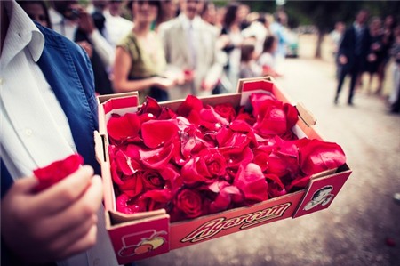 Bộ ảnh cưới đẹp ngỡ ngàng của cô dâu bị ung thư 17