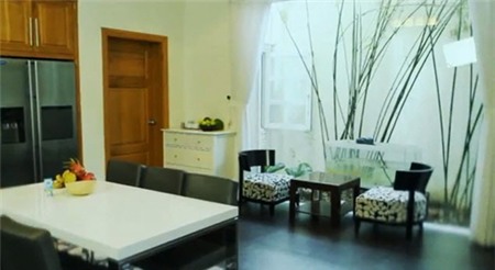 Ngắm nhà sang của Chi Bảo từ Bắc vào Nam - 7