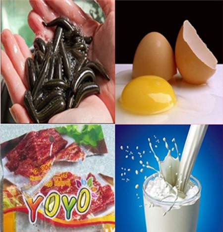 thực-phẩm, tin-đồn, choáng, 2015, đỉa, hạt-hướng-dương, teo-não, chuột-cống, đặc-sản,  thịt-bò, cao-su