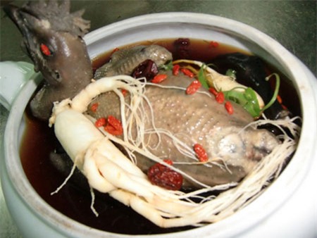 Gà ác - Thuốc quý cho chị em - 1