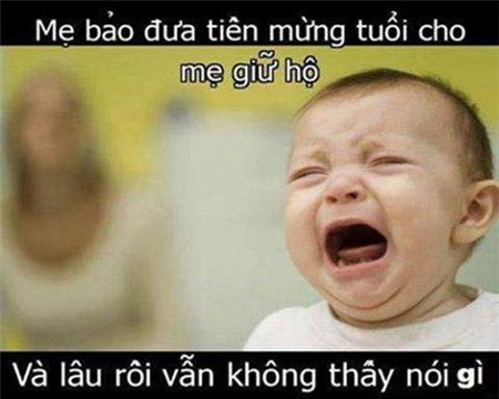 ảnh chế, ảnh hài, Tết