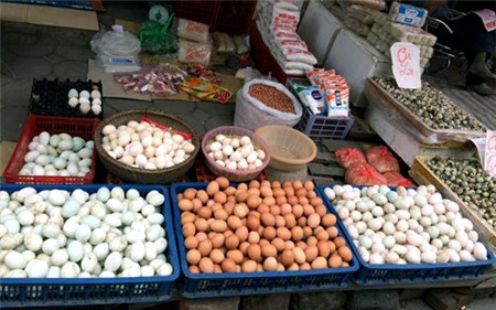 dịch-cúm, gia-cầm, giảm-giá, chăn-nuôi, gà, trứng, dân-buôn, tiểu-thương