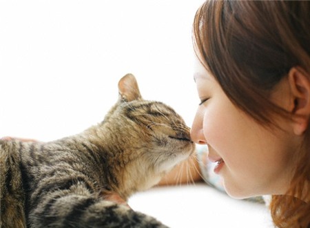 Choáng với các chàng và nàng cuồng chó mèo nơi công sở 1