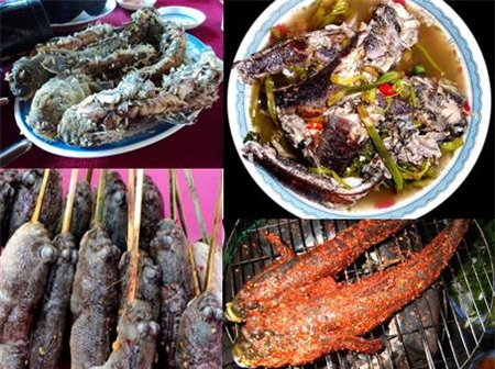 cathoiloi21-570555-1368277858-7786-1342-