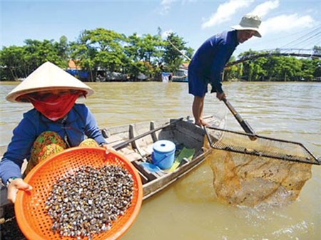 Về hồ Sông Ray ăn hến - 1