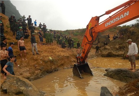 gỗ sưa; Quảng Bình