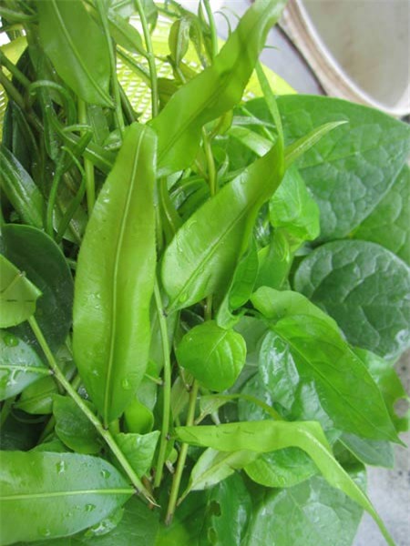 Ngọt, lành canh rau dại vườn nhà - 2