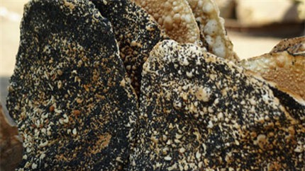 Những đặc sản không thể bỏ qua khi tới Hà Tĩnh 3