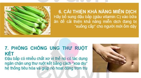 Vừa ngon vừa bổ như đậu bắp - 4