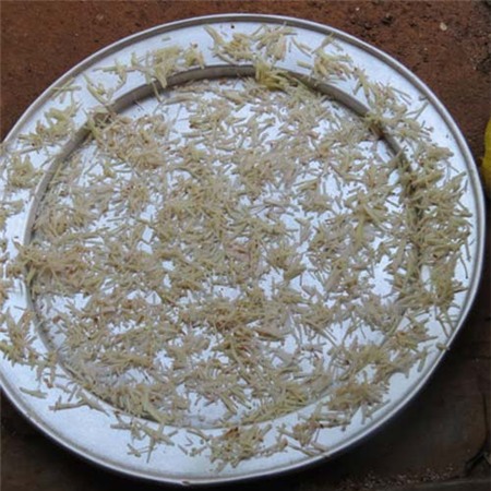 Mắm chua cá cơm, đậm đà món ngon quê - 3