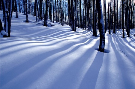 Các bức ảnh chụp bình minh và hoàng hôn sẽ giúp cho album nghỉ lễ của bạn trở nên hoàn hảo. Thật không máy, các khung cảnh này tỏ ra 