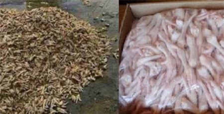 Những hình ảnh Những hình ảnh “kinh sợ” về chân gà thối được chia sẻ trên mạng xã hội