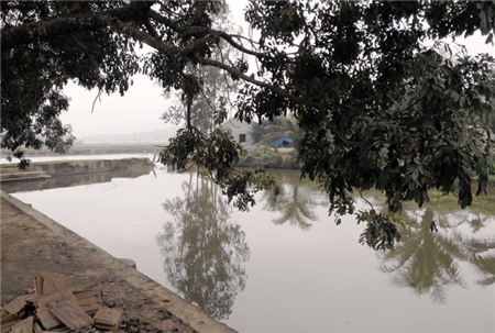 Ao nước nơi hai anh em Nguyễn và Trỗi bị đuối nước. 