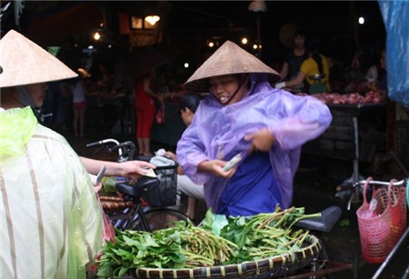 lợn, rau, thực-phẩm, hút-khách, thành-phố, thực-phẩm-sạch, đồ-quê