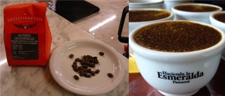 Top 10 loại cà phê đắt nhất thế giới 9