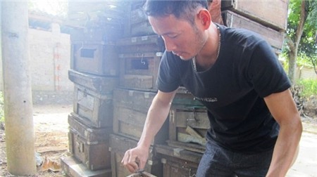 Anh Phong kiểm tra các tầng mật.